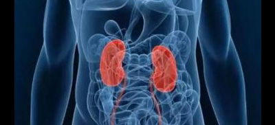 机器人辅助手术治疗少年患者的复杂肾脏疾病